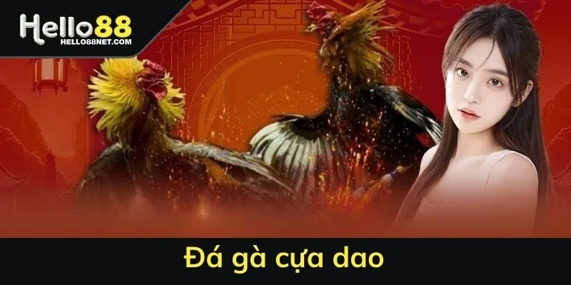 Đá gà cựa dao HELLO88 - Chơi thế nào ăn cược hiệu quả?